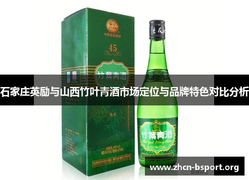 石家庄英励与山西竹叶青酒市场定位与品牌特色对比分析